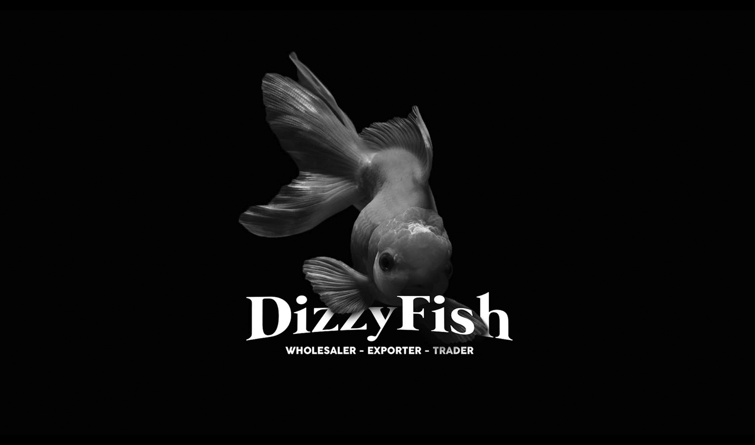 Dizzy Fish